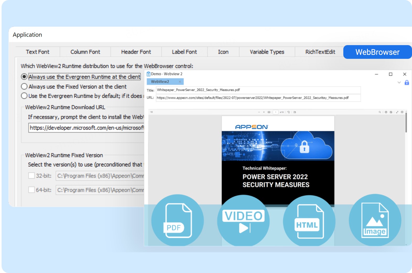 WebBrowser Control