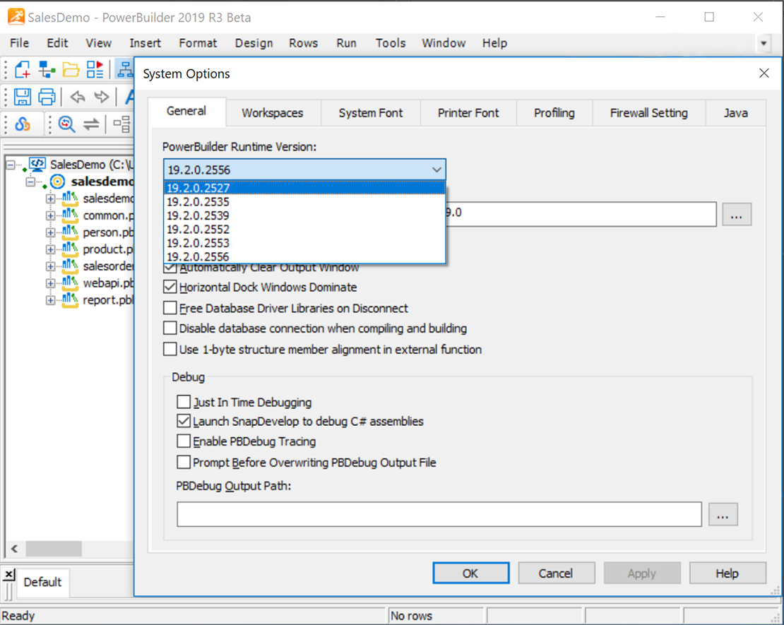 Decoupling PowerBuilder IDE & Runtime