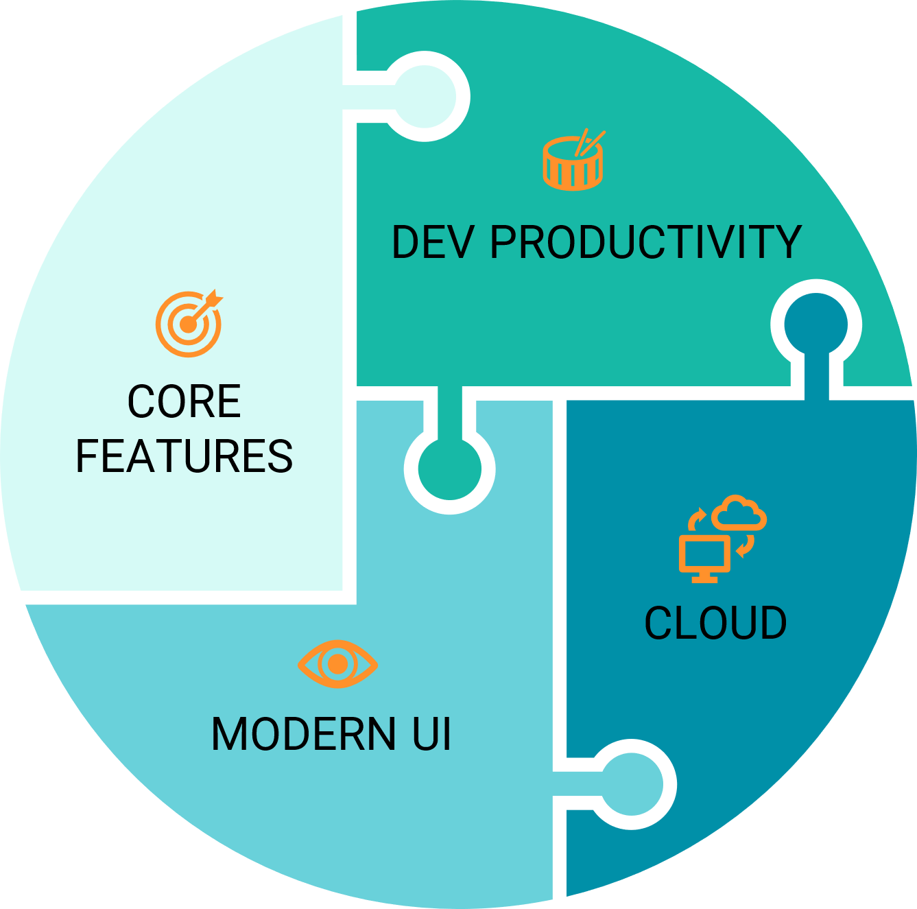 roadmap focus areas