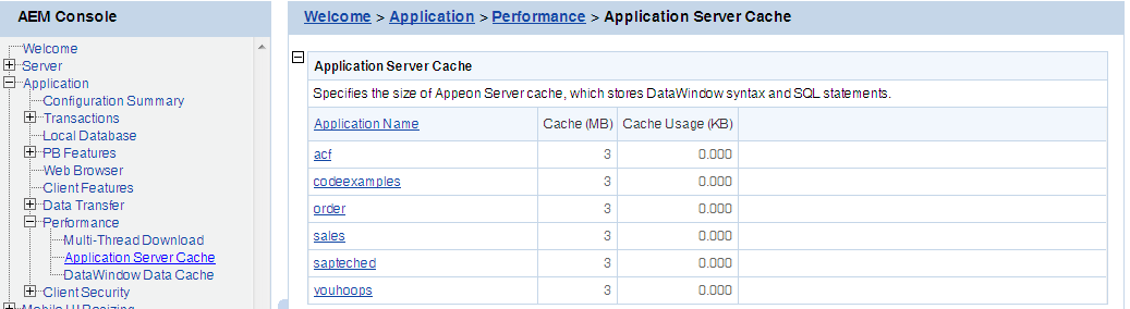 Application Server Cache