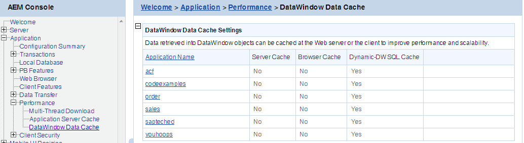 DataWindow Data Cache