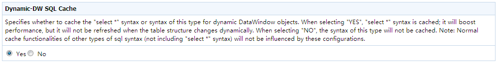 Dynamic-DW SQL Cache
