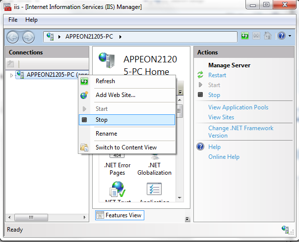 Stop the server in IIS Manager